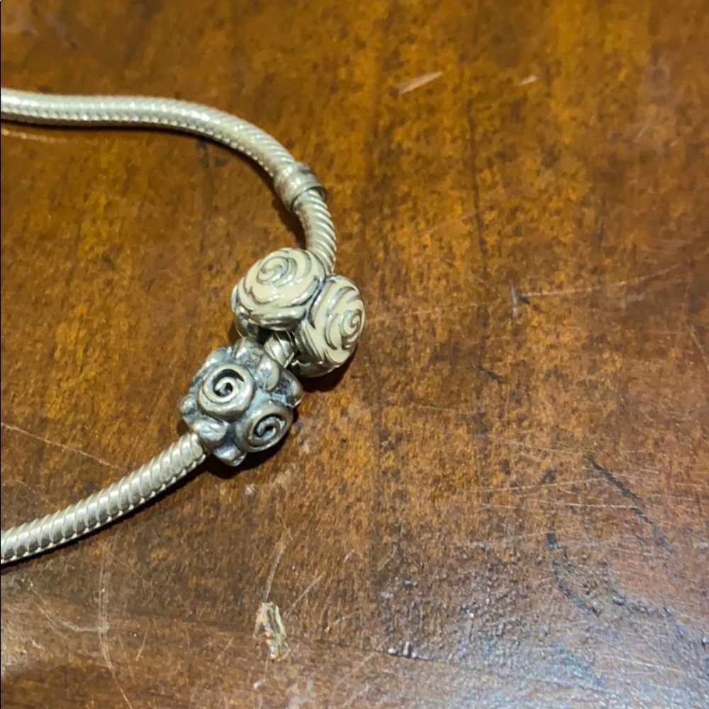 Pandora Charms